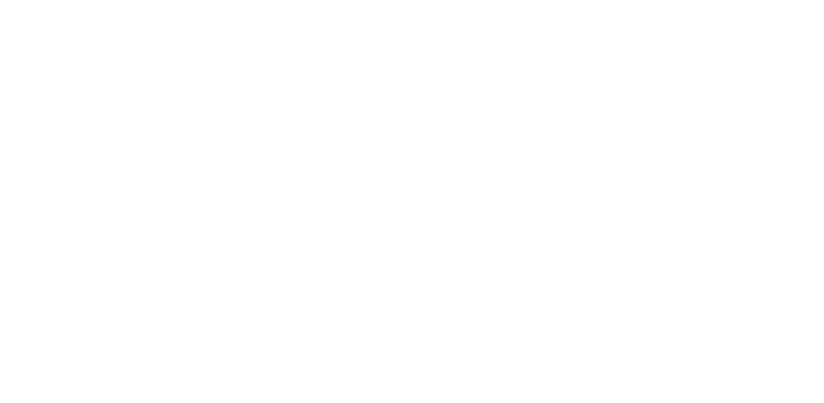 Phoenix SEO Company